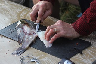 Paul cutting some filets