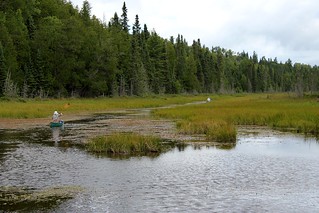 Chris Omtvedt - Paddling through the muck and grass