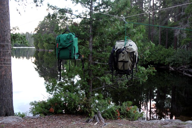 There's no way a bear will be able to reach these food packs. No way at all.