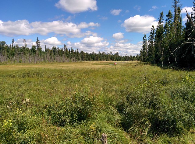 Canoeing in a field