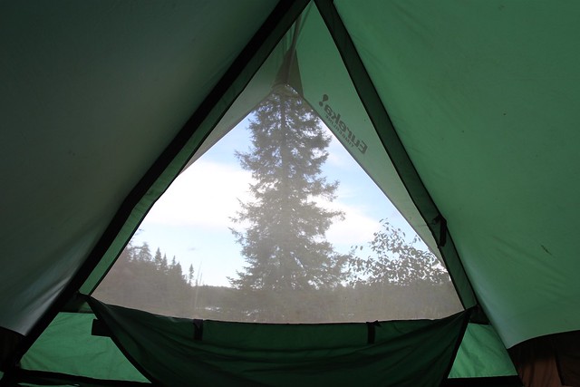 Waking up from a nap