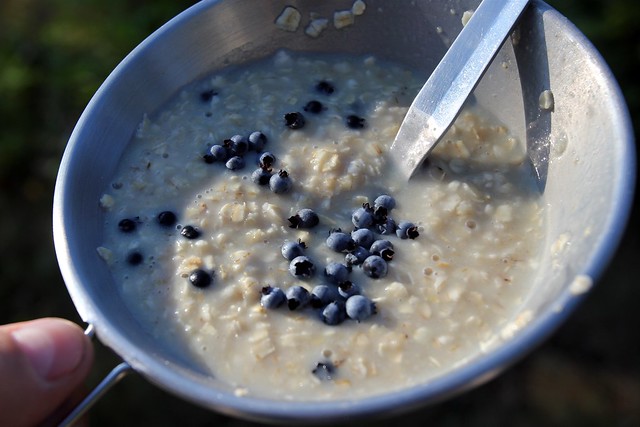 Oatmeal and fresh picked wild blueberries