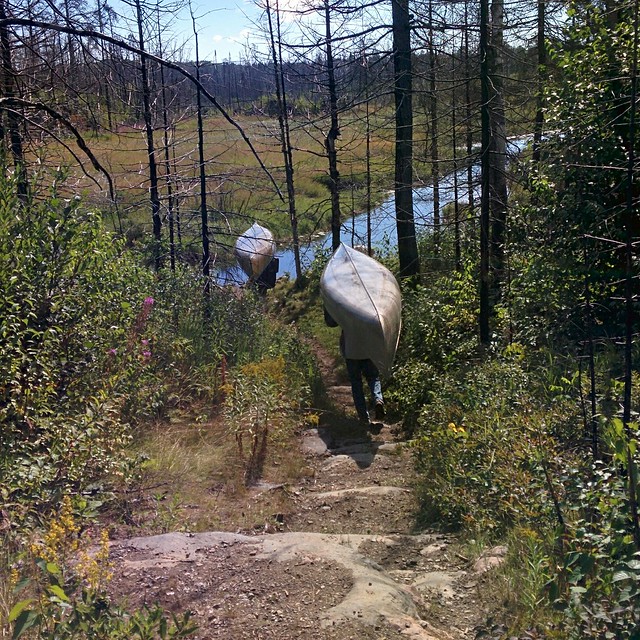 Portaging canoes