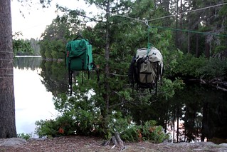 There's no way a bear will be able to reach these food packs. No way at all.