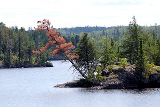 Looking out from our campsite on Little Saganaga Lake