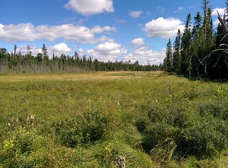 Canoeing in a field