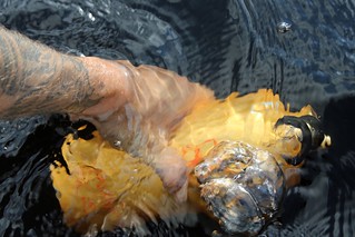 Fillin my sigg with fresh lakewater