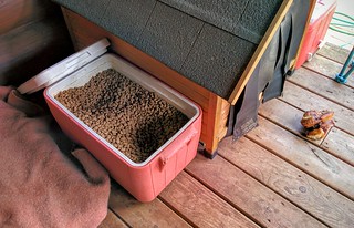 This is how you care for your pup when you live in the country and go in vacation.