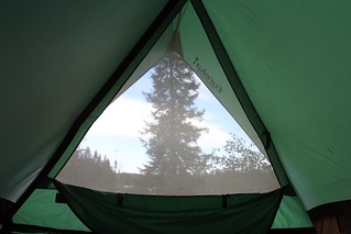 Waking up from a nap