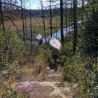 Portaging canoes