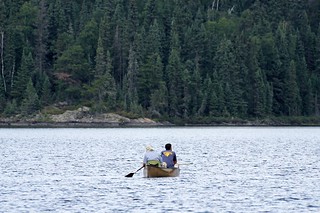 Josh and Will had front row seats for the bald eagle/blue heron attack