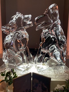 Art - An ice sculpture of the dogs