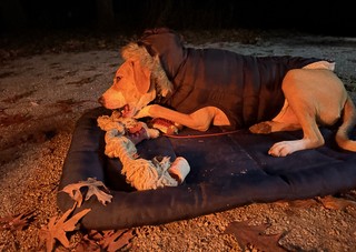 Stayin warm by the fire