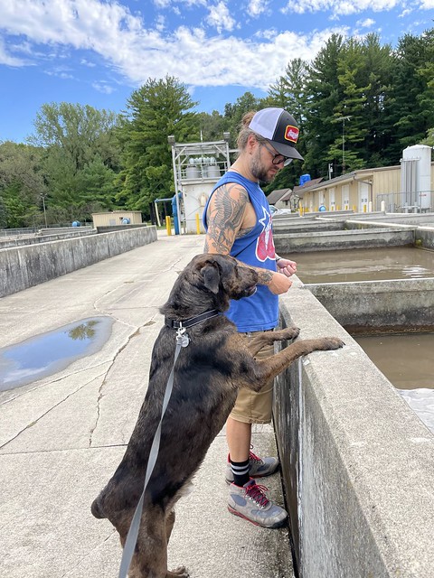 Checkin out the trout