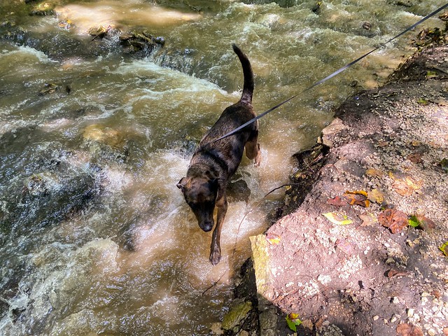 Playin in Dunning Spring Falls