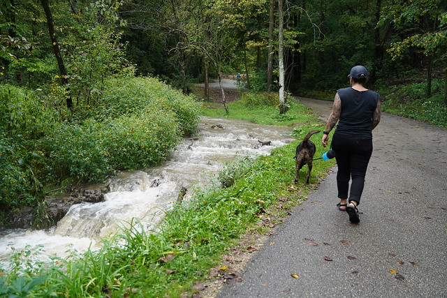 Hikin along flooded streams