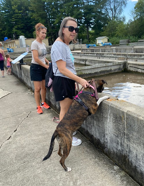 Checking out the trout