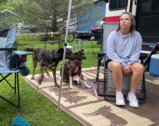 Camping with dogs