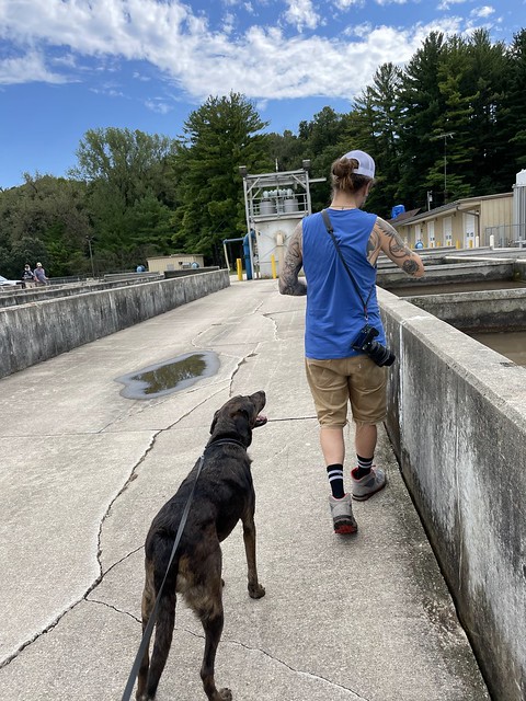 Just hangin with my shadow