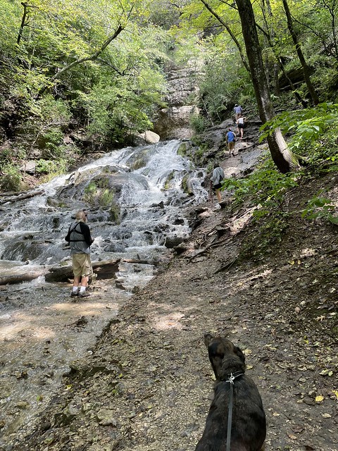Hiking around Dunnings Spring Falls