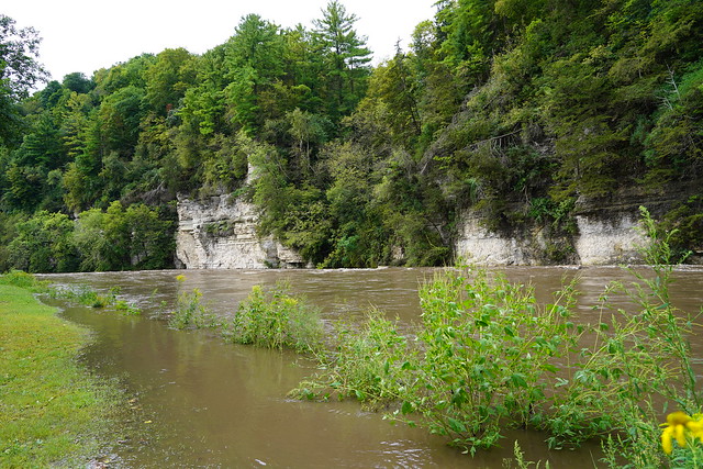 High waters in Bluffton
