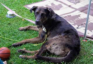 Benny Brooks - Campin Benny