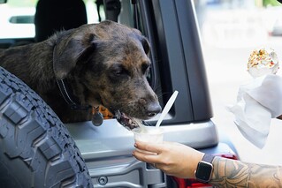Benny Brooks - Ice cream break