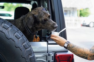 Benny Brooks - Lovin this ice cream