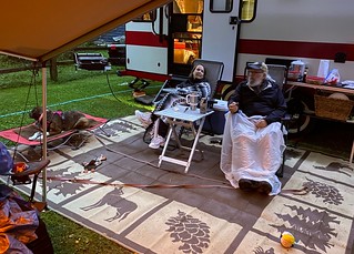 Gemma - Still hiding from the rain