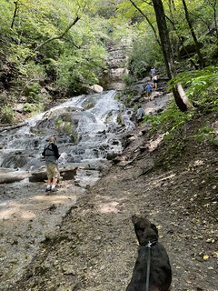 Benny Brooks - Hiking around Dunnings Spring Falls