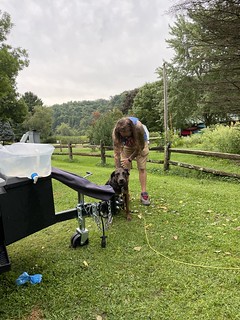 Benny Brooks - Brushin Benny