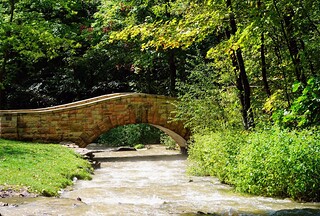 Bridge and high streams at Dunnings Springs