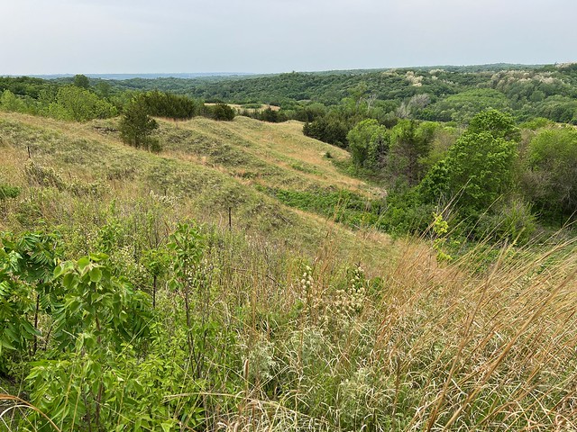 The Loess Hills at Preparation Canyon State park