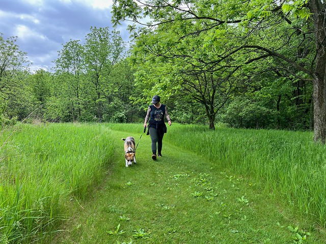 Durby needed to get some energy out before the rest of the drive home...