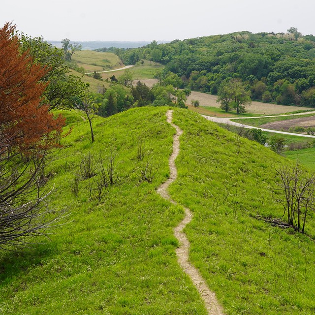 Paths navigating the hills