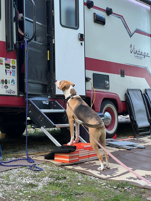 Durby likes the big camper