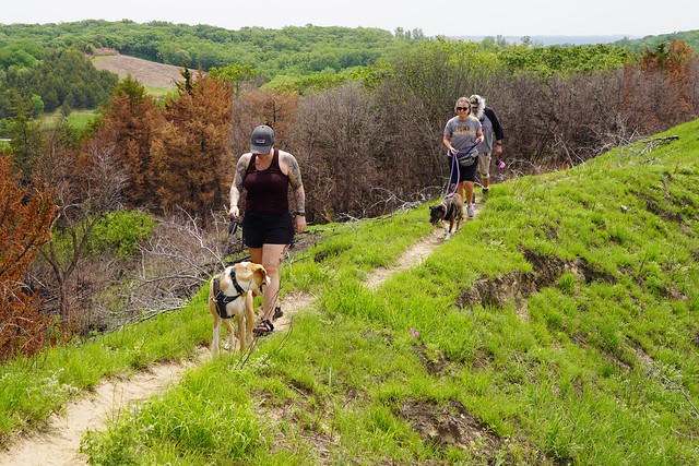 Durby checks up on the fam