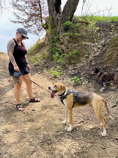 Hiking - Dirty tongue