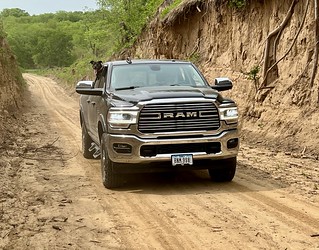 Gemma - Gema is enjoying the ride