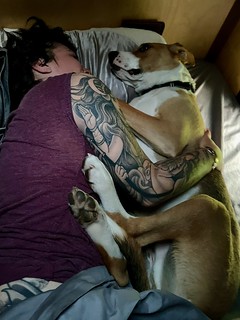 This dude likes sleeping in the camper