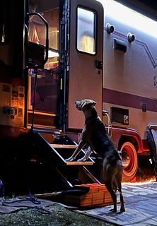 Camper - Wanting to hang in the camper with grandma 