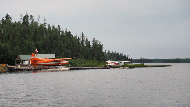 Some Planes at Mattice Lake