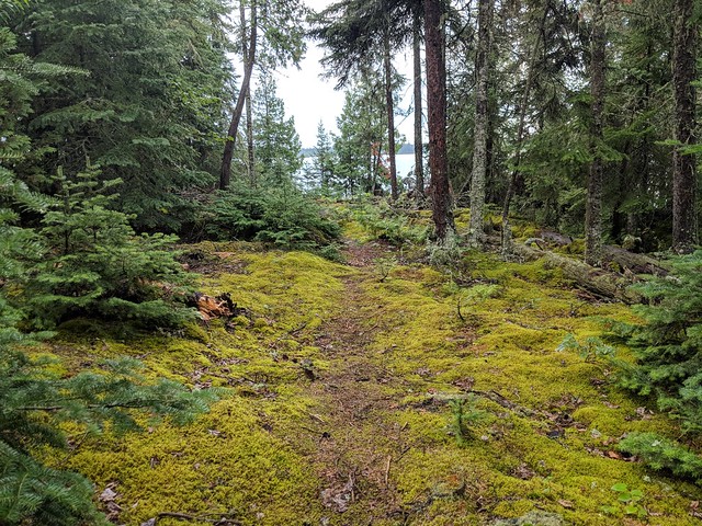 Trompin around by the cabin