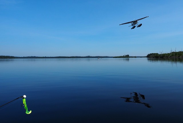 The cabin owner buzzes by