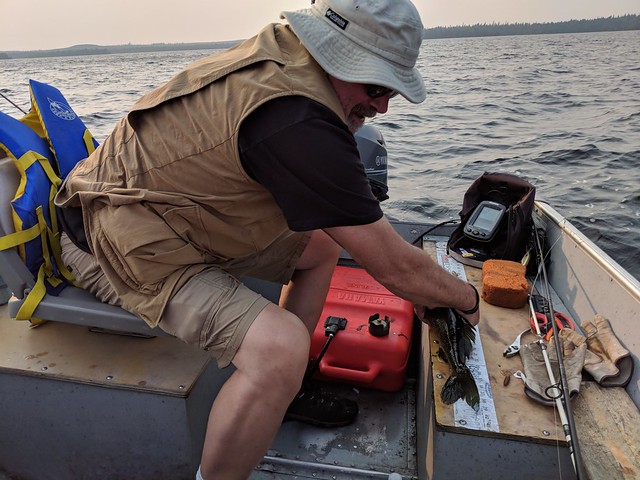 Measurin them bitches