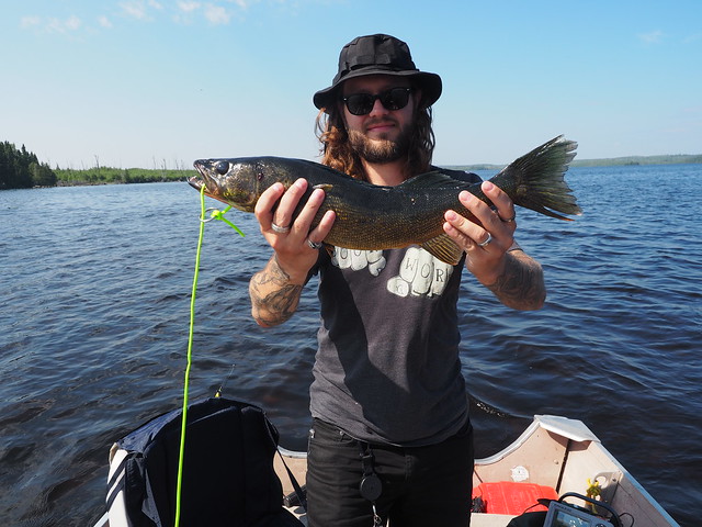 Walleye