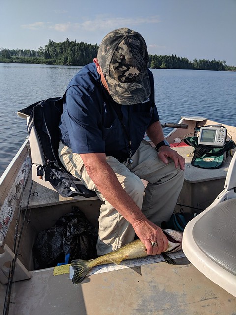 Tom pullin in the fish