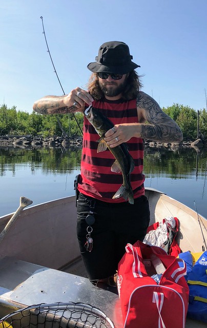 Let's get some more fish