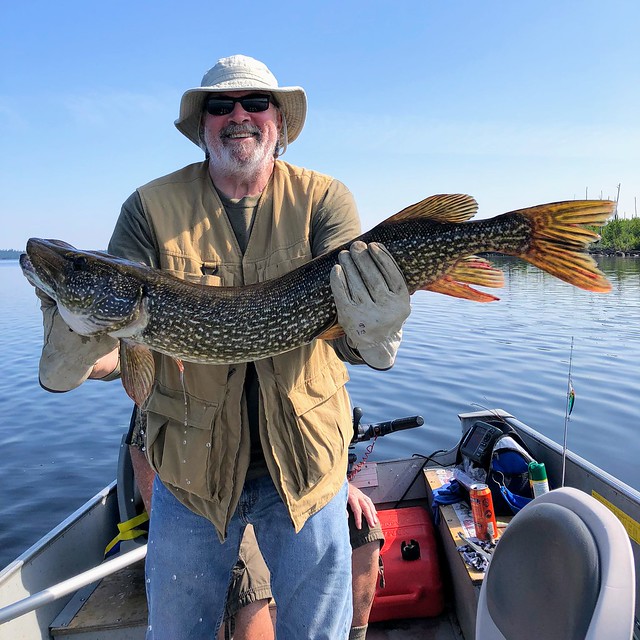 Jeff pulls in a big Northern!