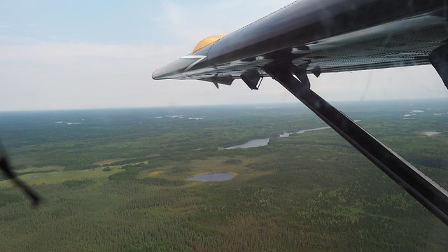 Looking out over the wilderness